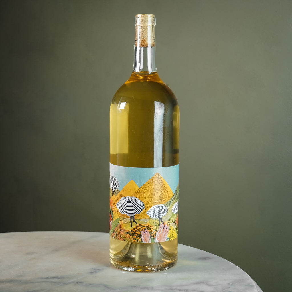 Guillaume Gonfrier, Vin Blanc pour Déssecher la Glotte, 2023 MAGNUM