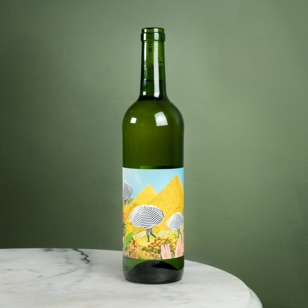 Guillaume Gonfrier, Vin Blanc pour Déssecher la Glotte, 2024