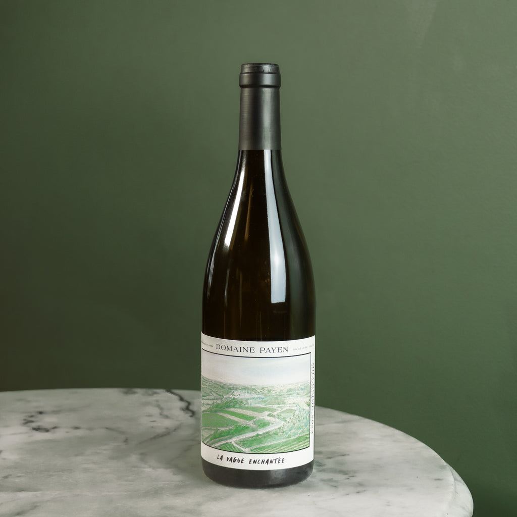 Domaine Payen, Anjou 'La Vague Enchantée', 2023