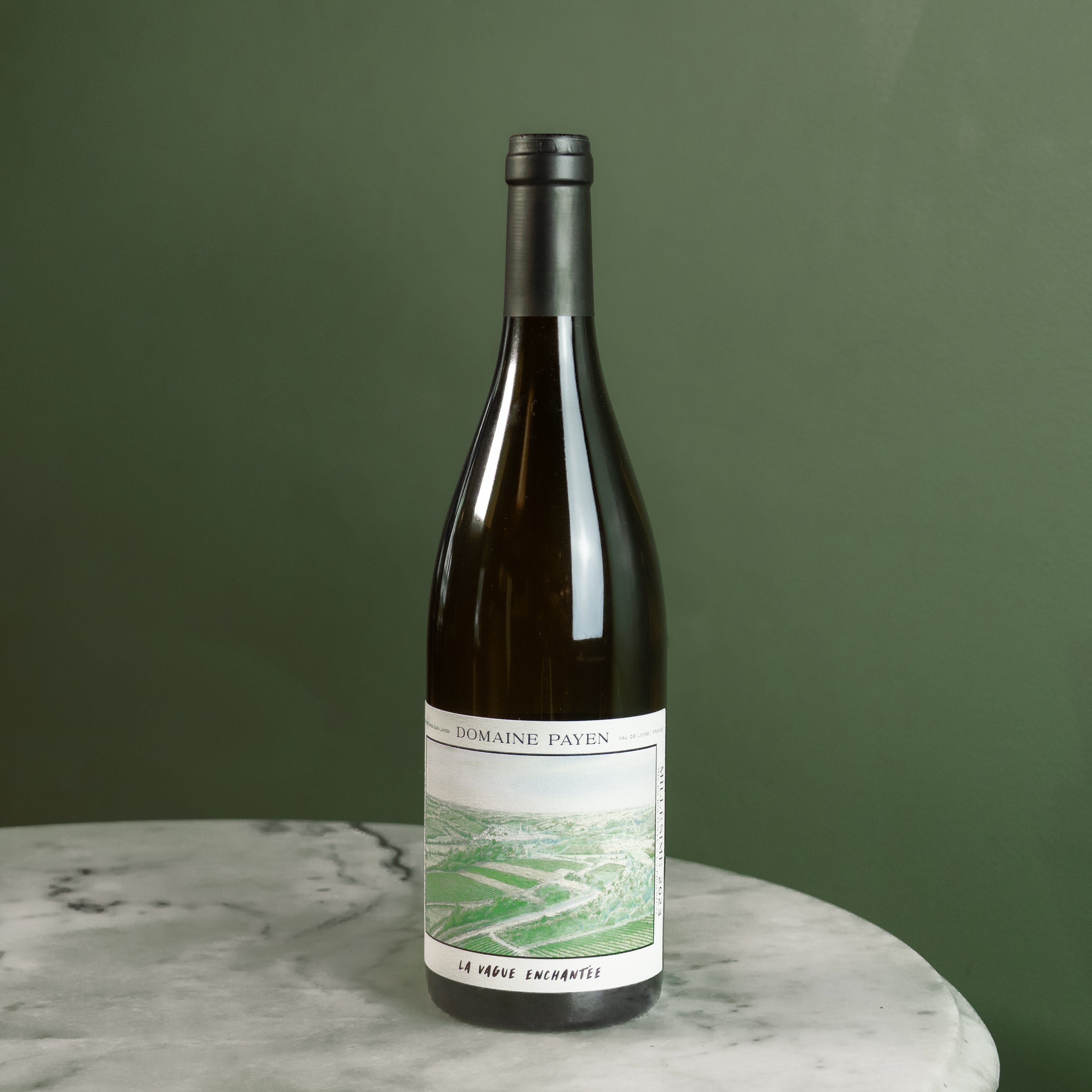 Domaine Payen, Anjou 'La Vague Enchantée', 2023